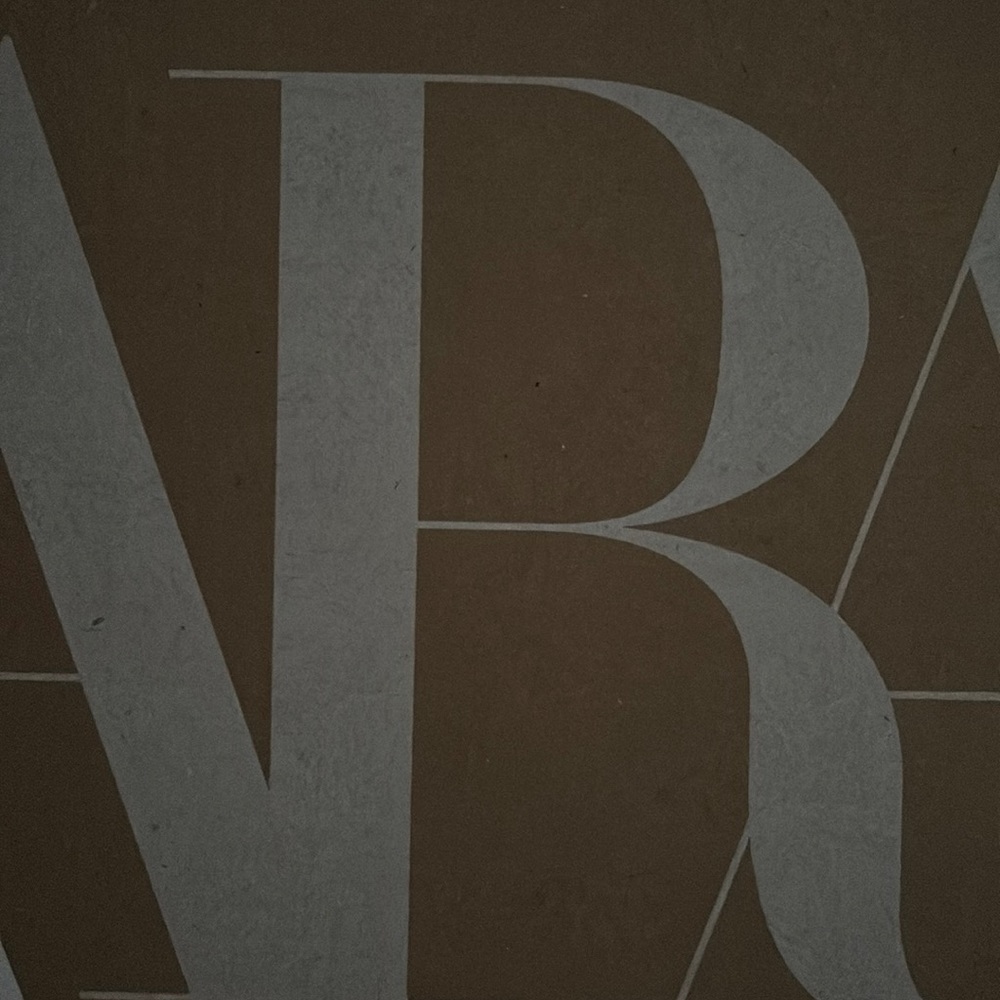 Erika’s ZARA order